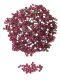 (image for) 1.5mm Acrylic Stone for Deco 2000drops Pink